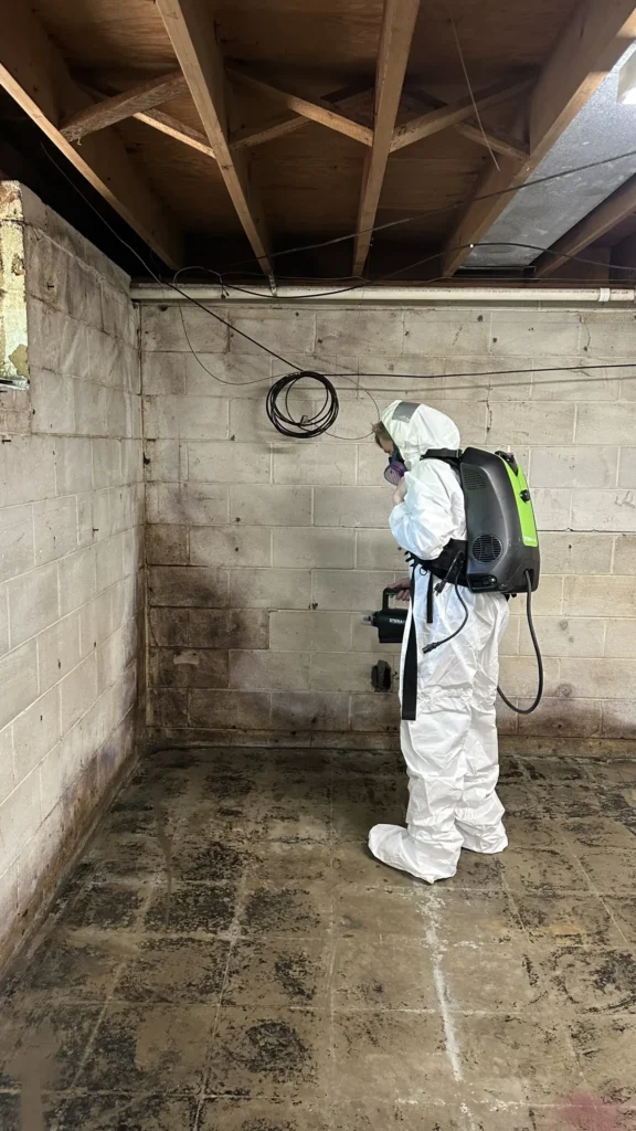 Technician in protective suit and respirator using a SteraMist backpack unit to disinfect a water-stained basement after flooding